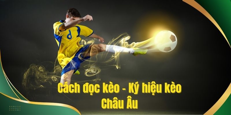 Cách đọc kèo châu Âu trong cá độ bóng đá