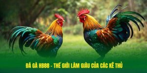 Đá gà HB88 - Thế giới làm giàu của các kê thủ