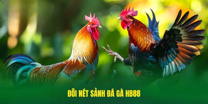 Đôi nét Sảnh Đá gà HB88