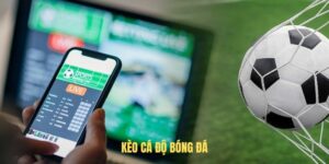 HB88 - Cung cấp kèo cá độ bóng đá uy tín