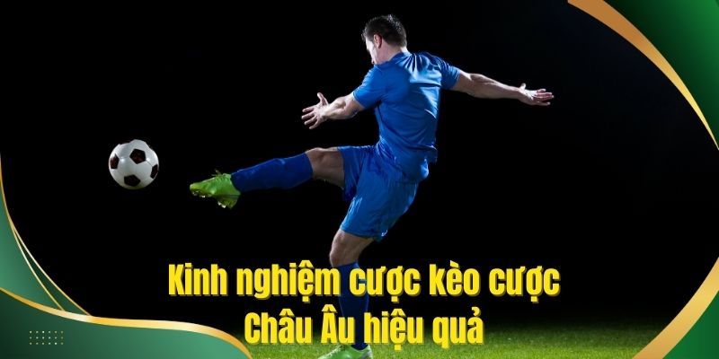 Kinh nghiệm cá cược kèo châu Âu hiệu quả