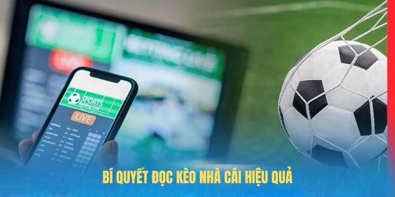 Bí quyết đọc kèo nhà cái hiệu quả