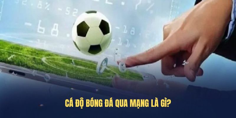 Cá độ bóng đá qua mạng là gì?