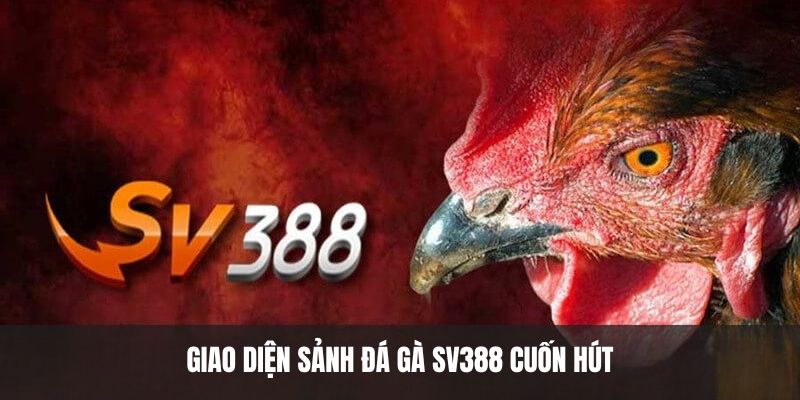 Giao diện sảnh đá gà SV388 cuốn hút