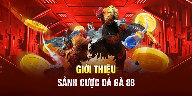 Giơi thiệu sảnh cược đá gà 88