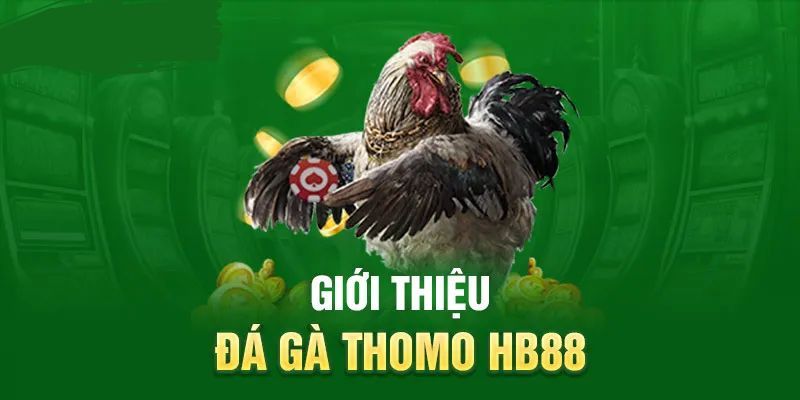 Giới thiệu đá gà thomo HB88