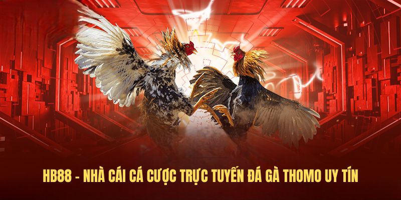 HB88 - Nhà cái Cá cược trực tuyến đá gà thomo uy tín