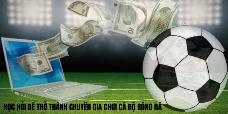 Học hỏi để trở thành chuyên gia chơi cá độ bóng đá