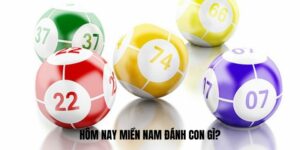 Hôm nay miền Nam đánh con gì?