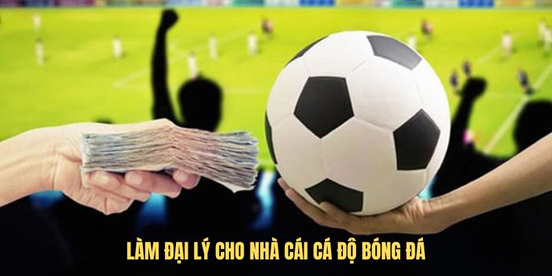 Làm đại lý cho nhà cái cá độ bóng đá