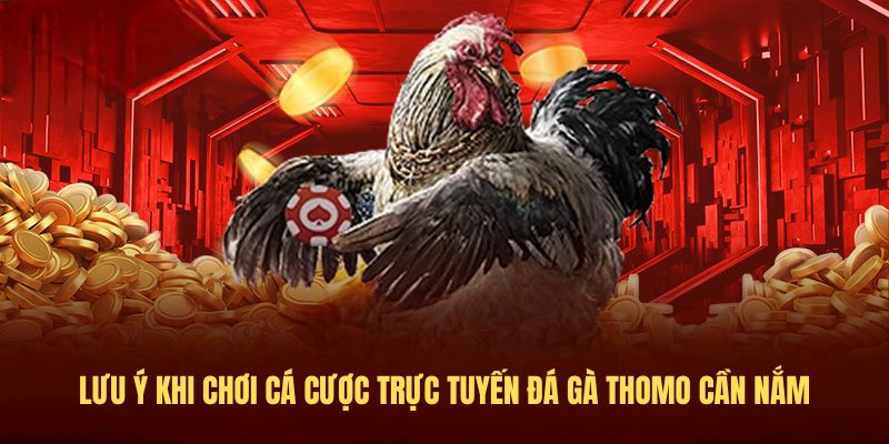 Lưu ý khi chơi Cá cược trực tuyến đá gà thomo cần nắm