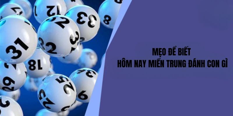 Mẹo để biết hôm nay miền trung đánh con gì