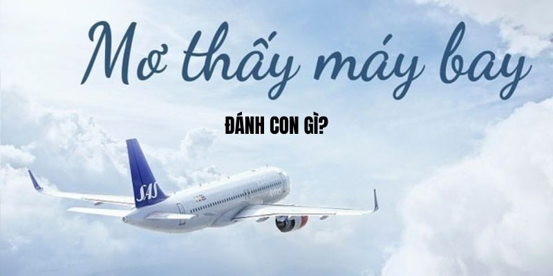 Mơ thấy máy bay đánh con gì?