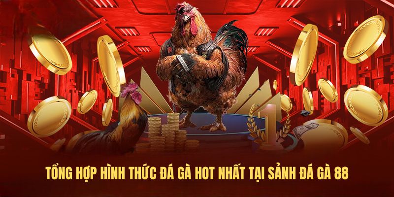 Tổng hợp hình thức đá gà hot nhất tại sảnh đá gà 88