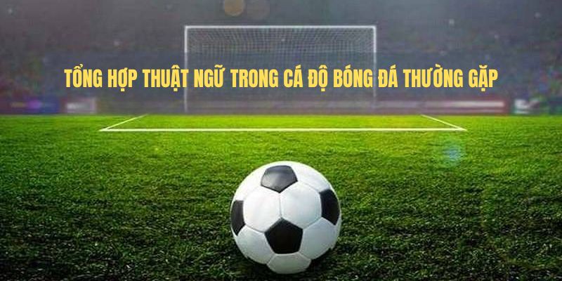 Tổng hợp thuật ngữ trong cá độ bóng đá thường gặp