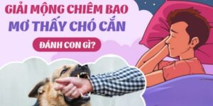 Nằm mơ thấy chó cắn là lành hay dữ? Lựa chọn con số may mắn cùng TK88