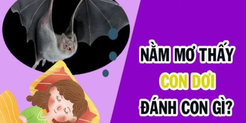 Nằm mơ thấy con dơi đánh con gì?