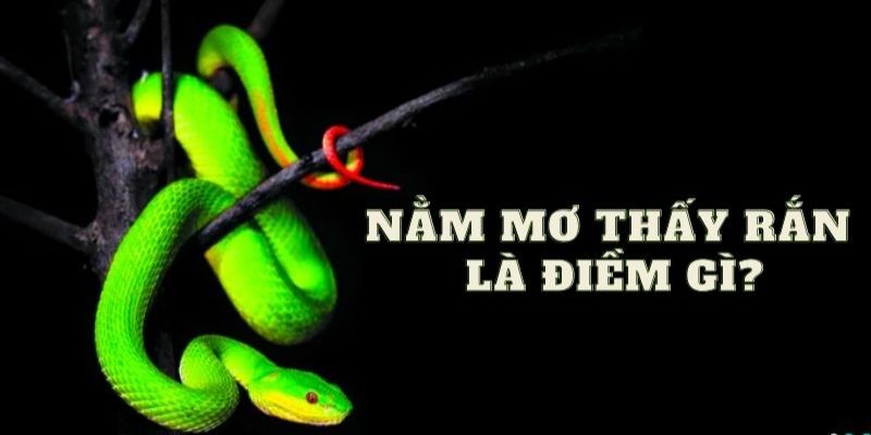 Nằm mơ thấy rắn là điềm gì?