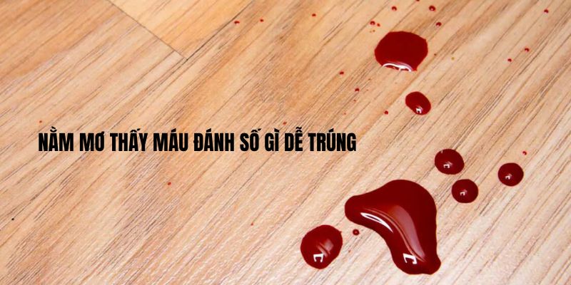 Nằm mơ thấy máu nên đánh con gì?