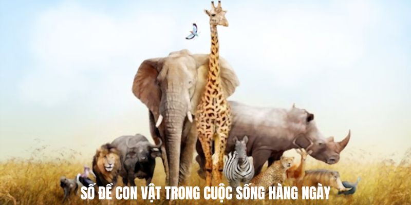 Bảng số đề con vật trong cuộc sống hàng ngày